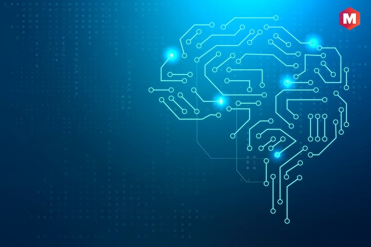 Papel de Internet en la Inteligencia Colectiva
