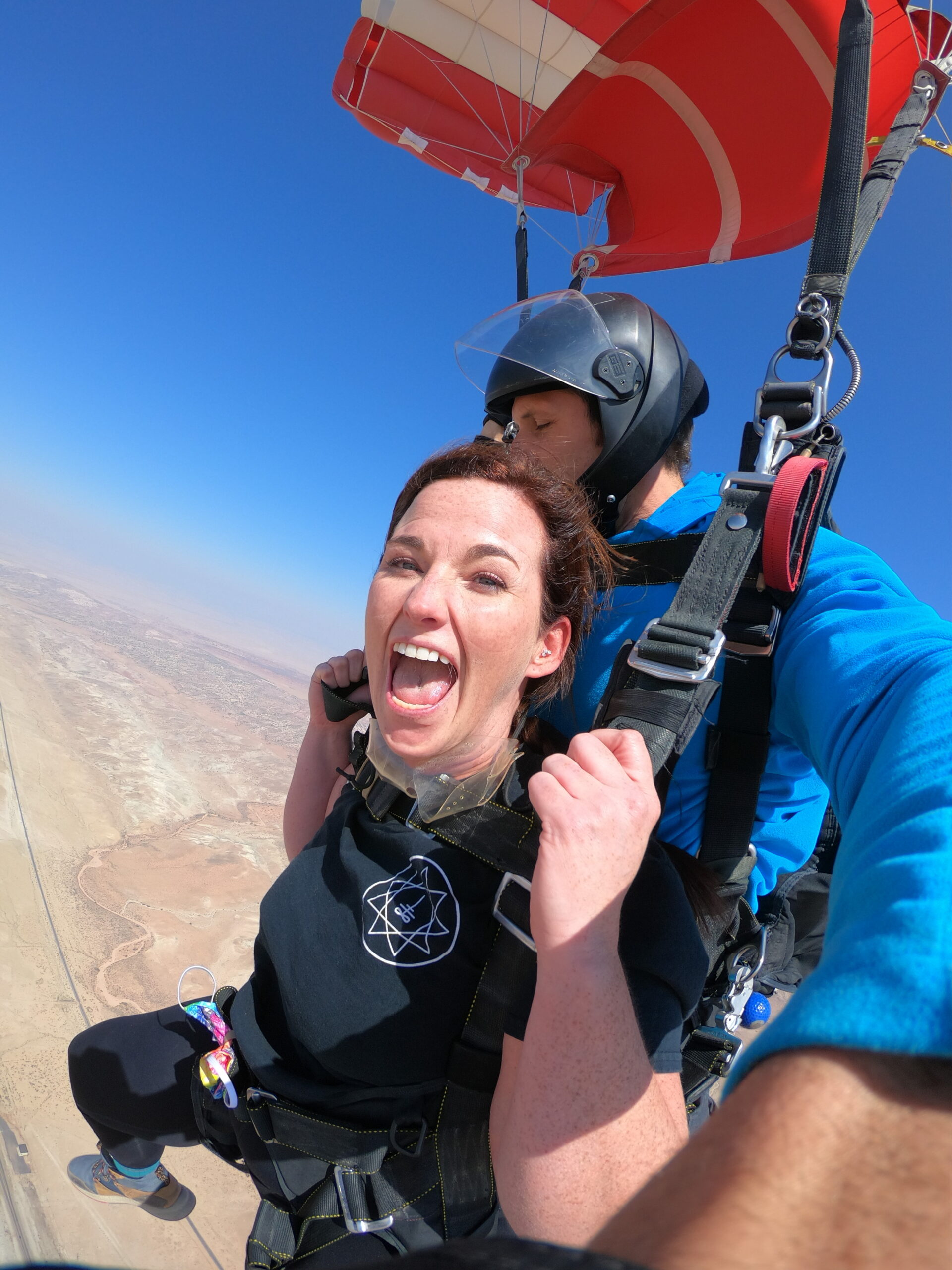 新面孔&動物兄弟：搜索引擎期刊將於 2021 年推出