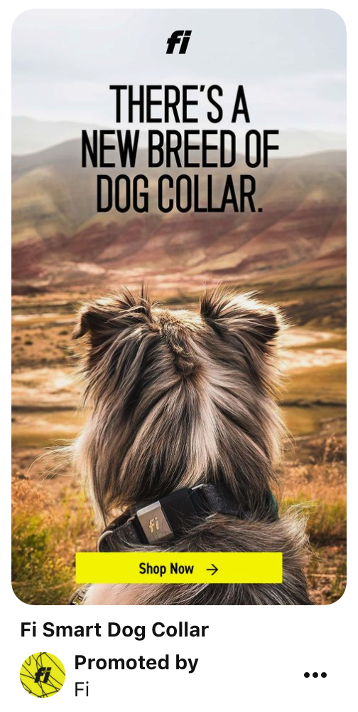 Contoh iklan belanja.