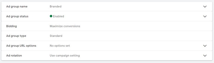 Anatomie du compte Google Ads - Capture d'écran des paramètres au niveau du groupe d'annonces