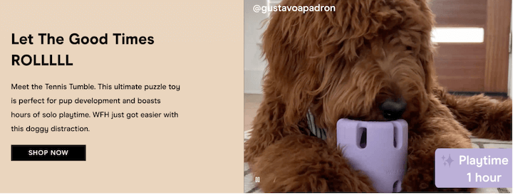 Beispiele für Zielgruppen – Zielseite für Millennials