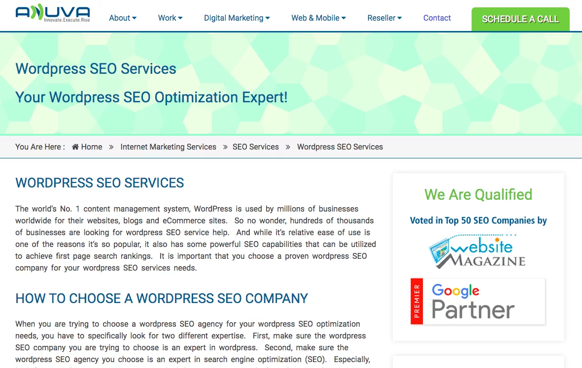 Anuva WordPress SEO 代理主页