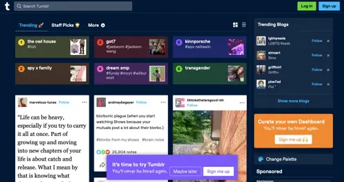 لقطة من Tumblr.com Screenshot of Tumblr.com