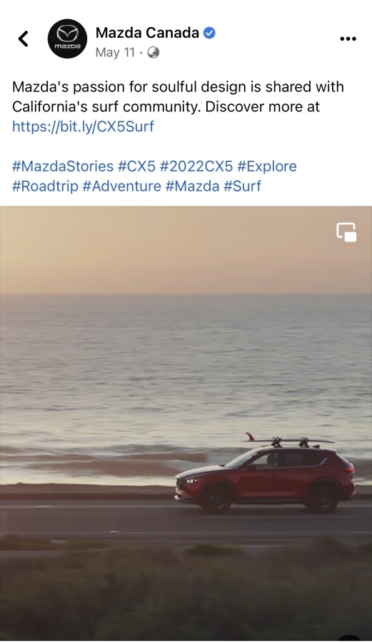 facebook'ta organik sosyal medya gönderisi