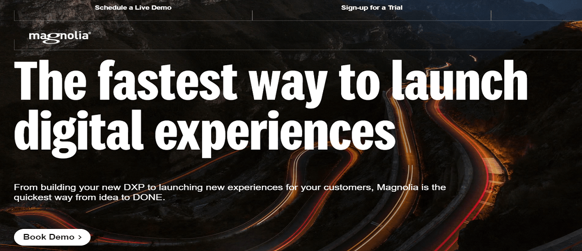 magnolia headless cms