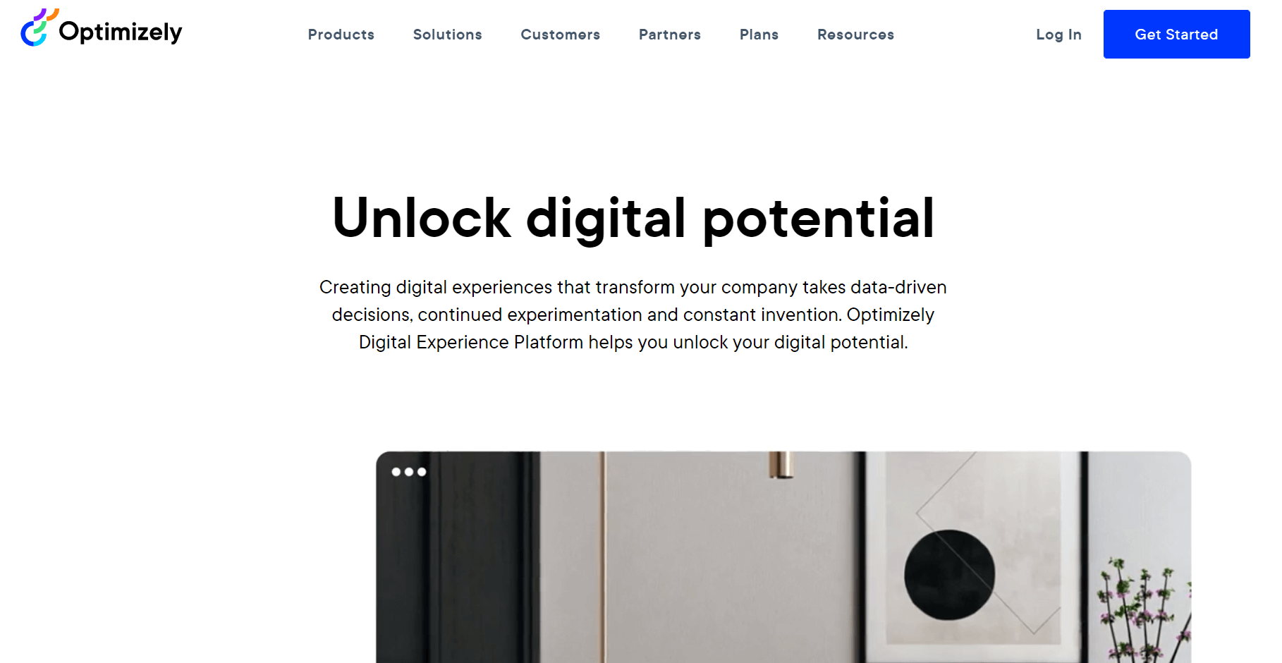 optimizely split testing service
