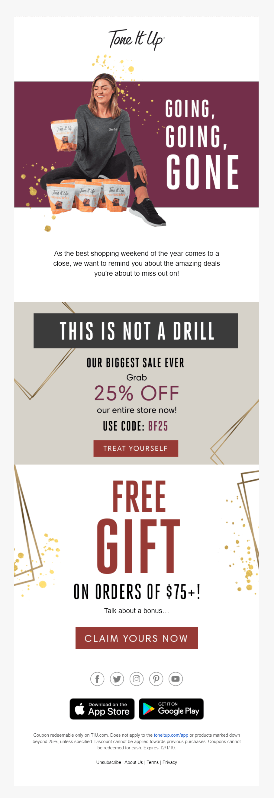 Tone It Up Black Friday E-Mail-Kampagne tone it up holiday campaign example