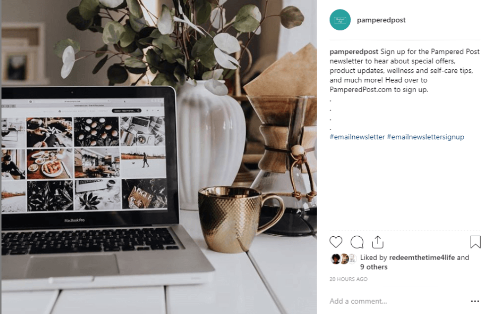 وسائل الاعلام الاجتماعية المدللة بوست Pampered Post social media