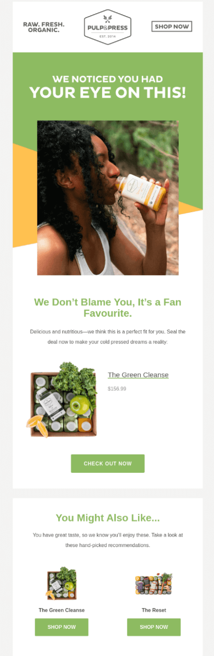 campaign example for email marketing specialists