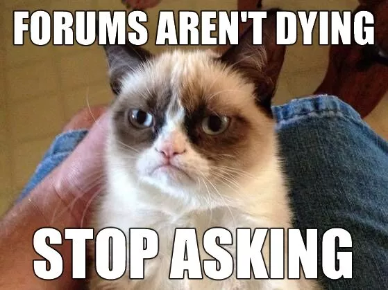 Grumpy Cat Forum Meme