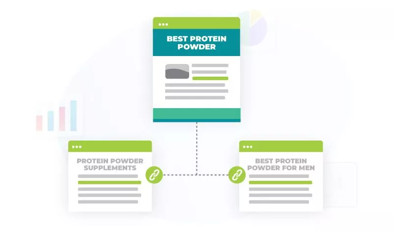 최고의 단백질 파우더 사일로 예