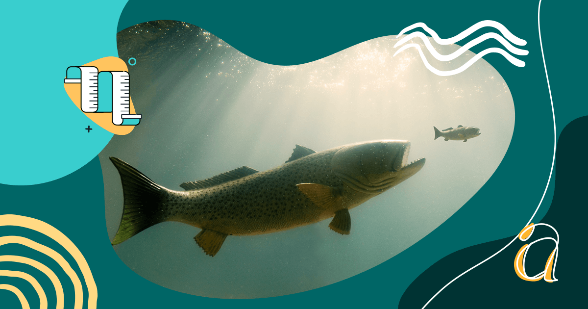 คำหลัก Cannibalization คืออะไรและจะแก้ไขได้อย่างไร