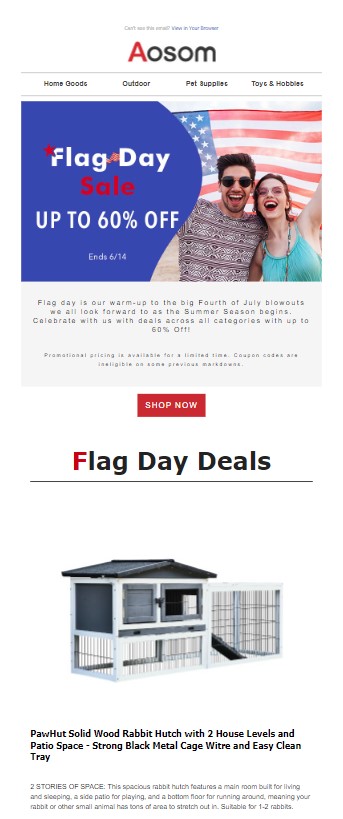 Promosyon E-postası Örneği