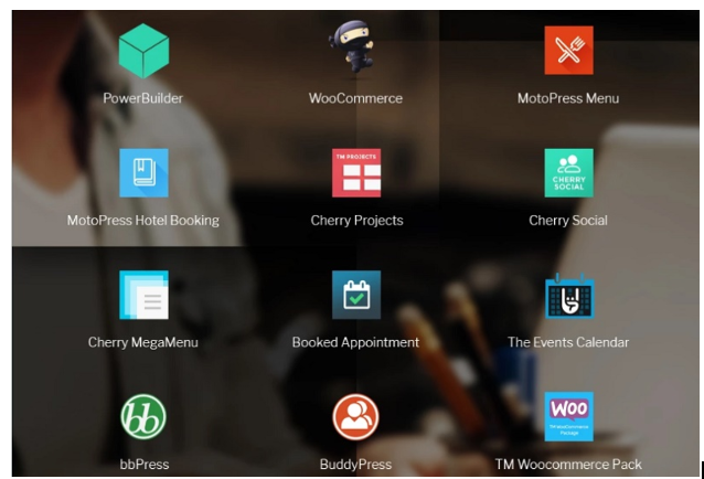 şablon canavarı Canavar 2 temaları templatemonster Monstroid 2 themes
