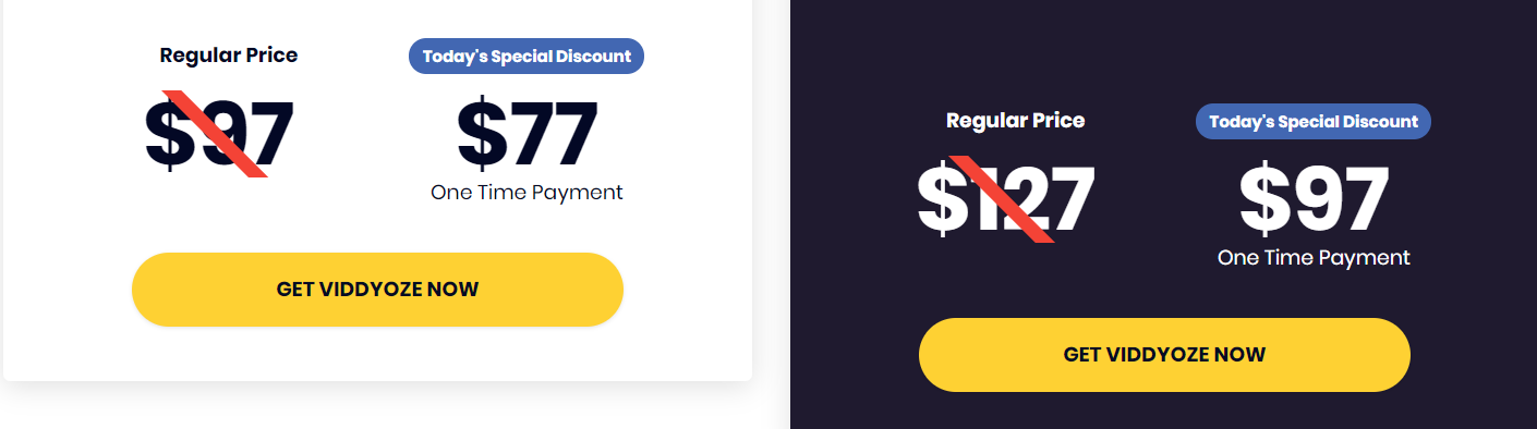 Viddyoze価格プラン