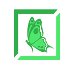 Merch Informer Review de Chris Green Amazon Seller