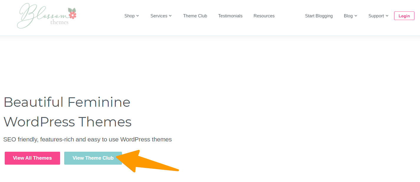 Blossom themes overview- Blossom Theme review