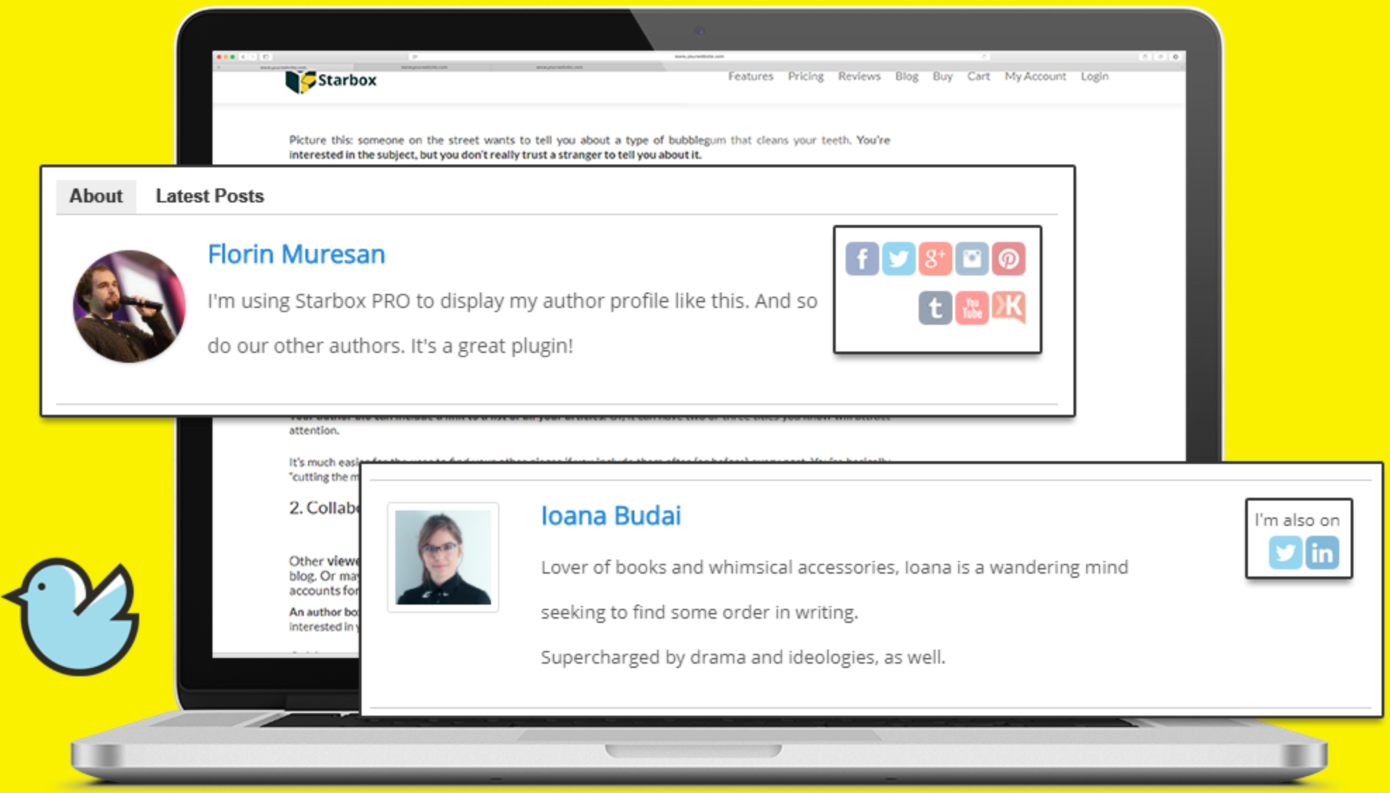 Starbox Plugin Review- Create Author Profile