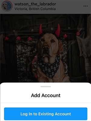 إدارة حسابات متعددة من جهاز واحد