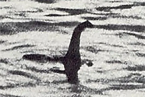صورة من ويكيبيديا (من المفترض) وحش بحيرة لوخ نيس. Image from Wikipedia of (supposedly) the Loch Ness monster.