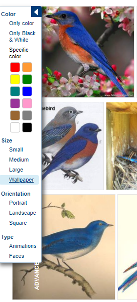 Os 11 melhores mecanismos de busca de imagens