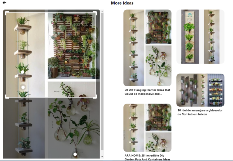 Os 11 melhores mecanismos de busca de imagens