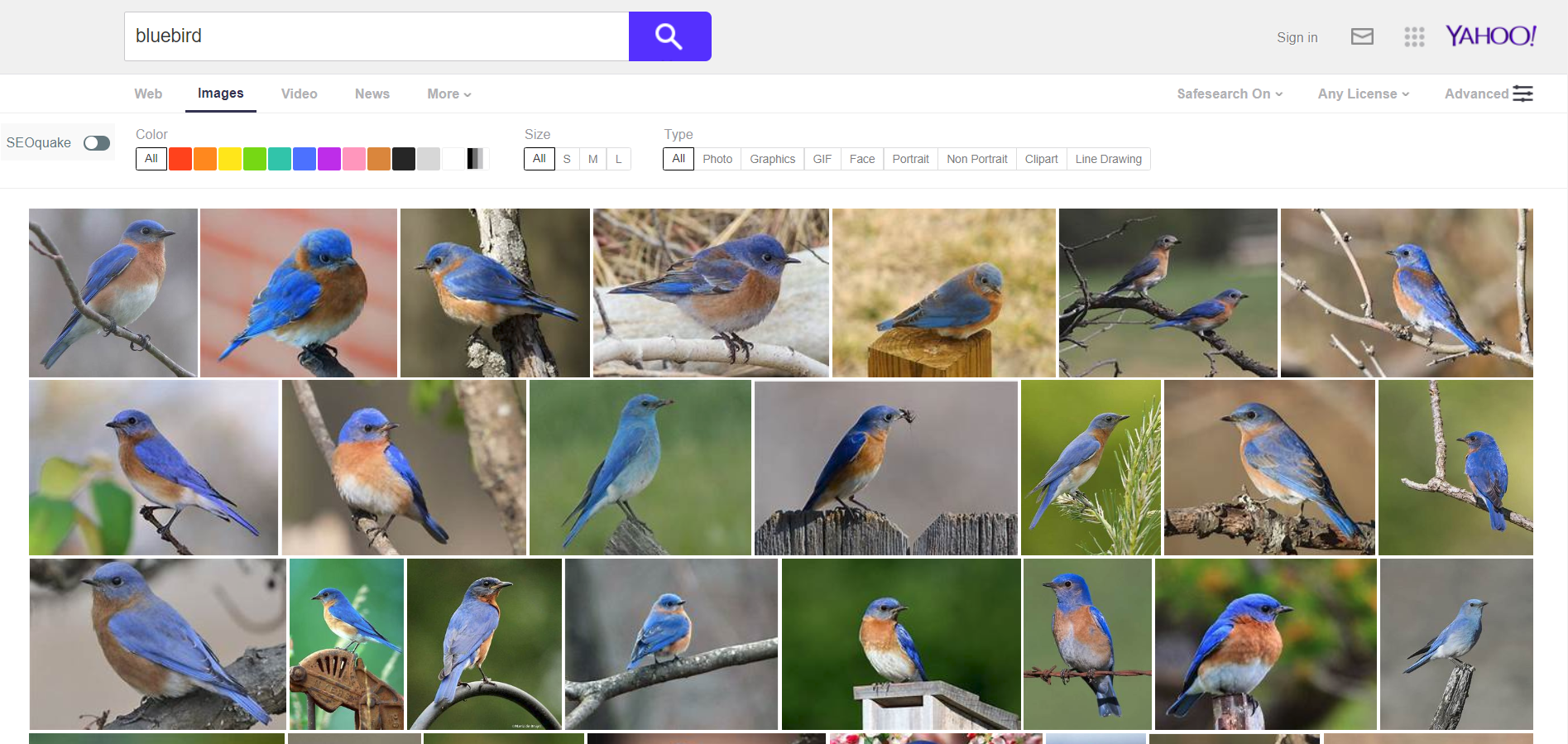 Os 11 melhores mecanismos de busca de imagens