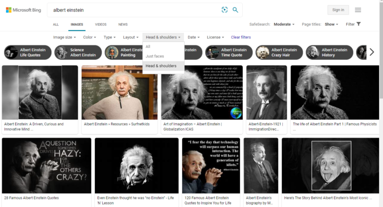 Os 11 melhores mecanismos de busca de imagens