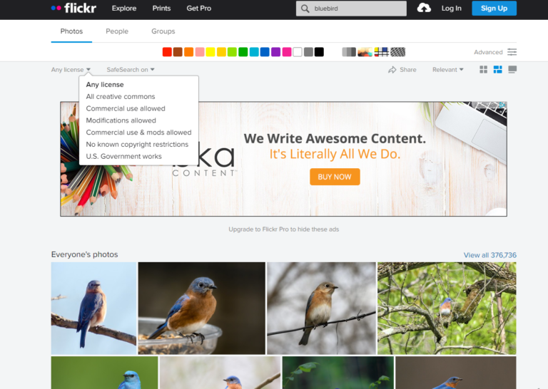 Os 11 melhores mecanismos de busca de imagens