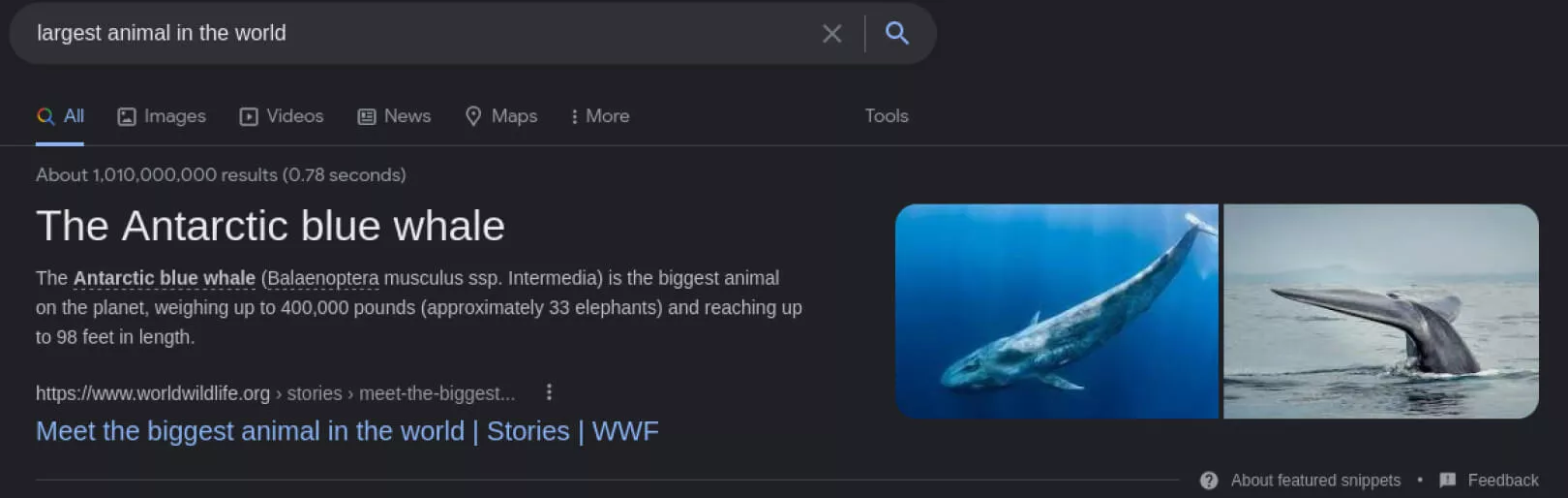 1.2 ¿Por qué son tan populares las búsquedas con cero clics?