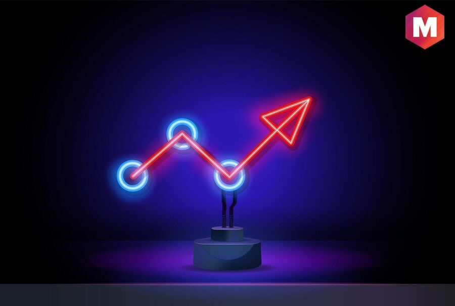 Avoirs exclus des immobilisations