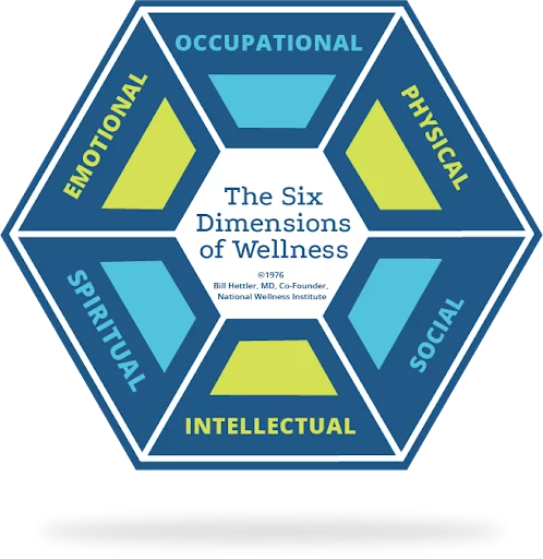 Wellnessq'in Altı Boyutu