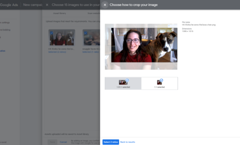 การครอบตัดรูปภาพในโฆษณา Google