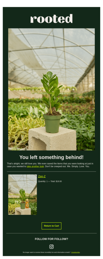 Screenshot dell'e-mail di abbandono del carrello con root