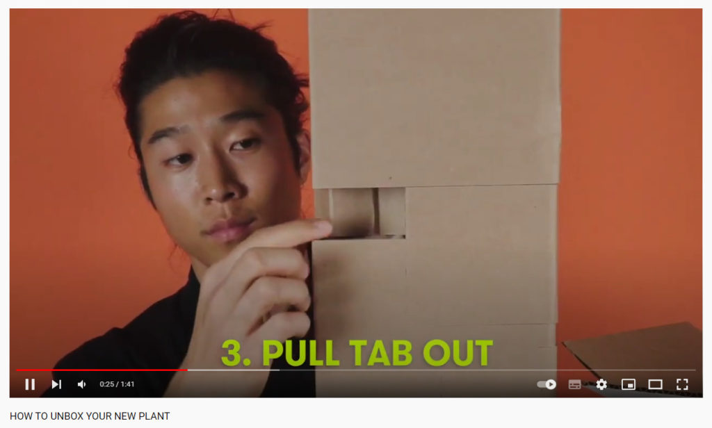 Screenshot delle istruzioni post-acquisto con root su Youtube