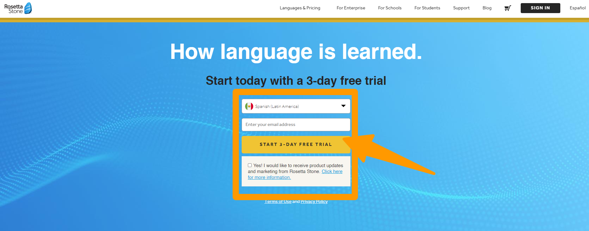 Rosetta Stone - Panoramica