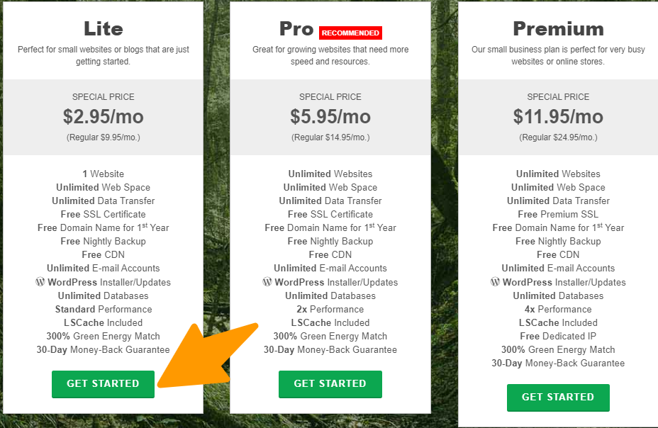 GreenGeeks - Pricing