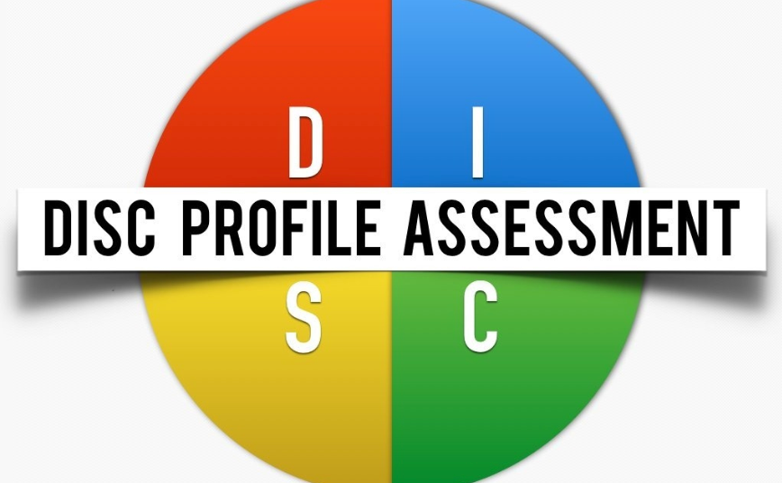 DISC プロフィール評価 マッツ・シンガー