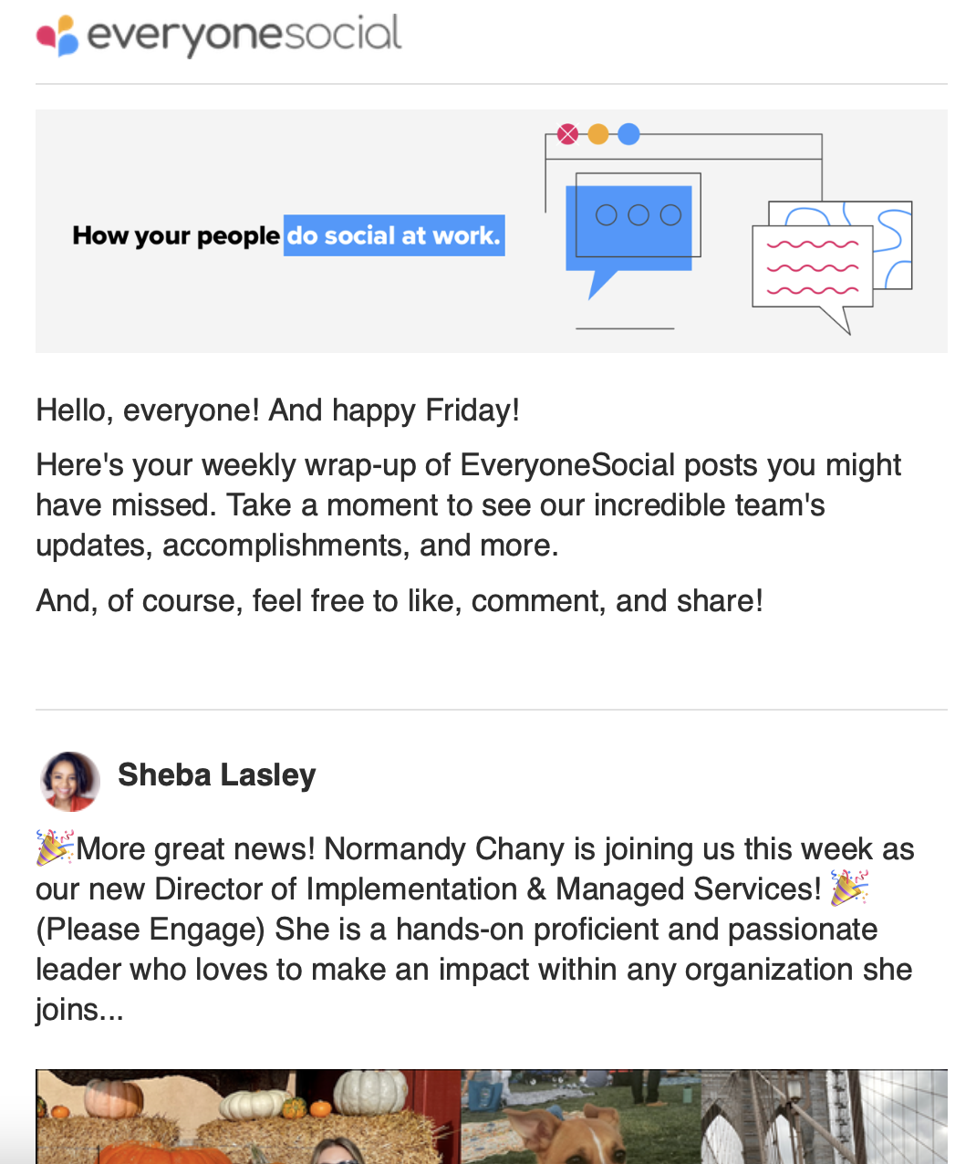 Newsletter mit allen sozialen Inhalten