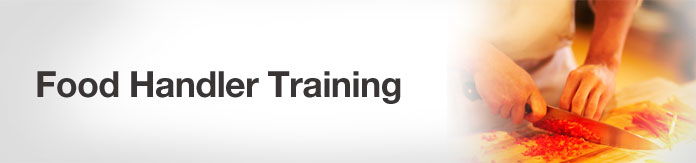 Learn2serve Review- food safety training