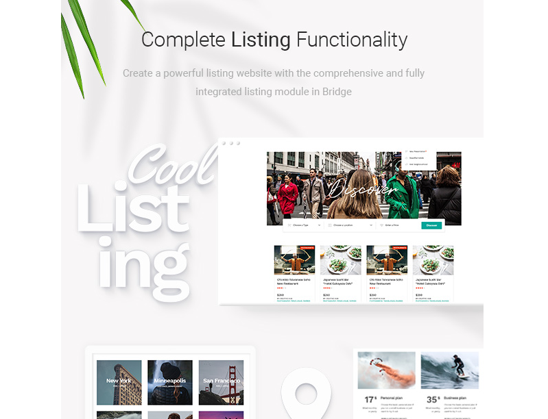 Bridge Theme Review - functionality