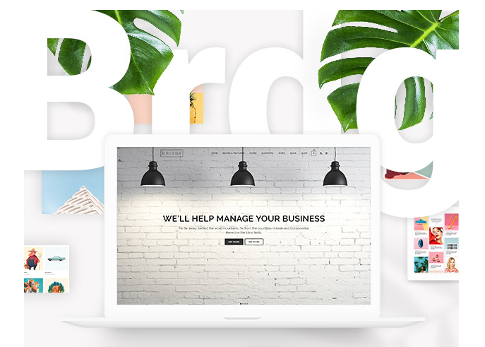 Bridge Theme Review -bussiness