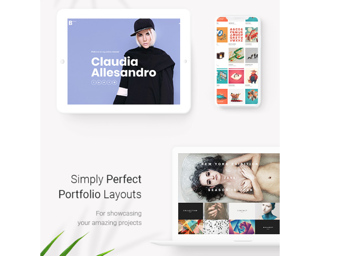 Bridge Theme Review - Portfolio layouts