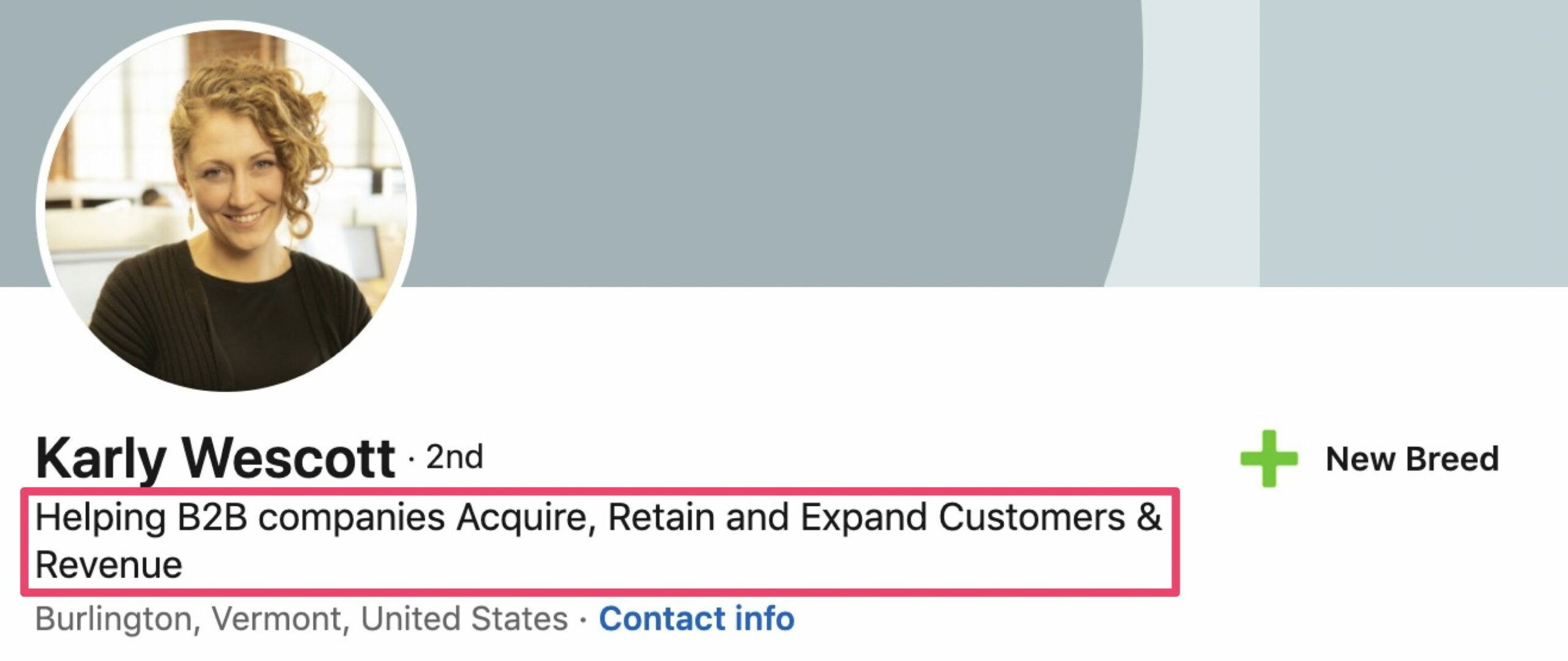 Przykład nagłówka sprzedaży LinkedIn.