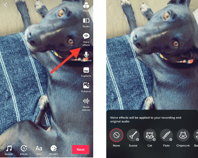 如何在 TikTok 上添加語音效果