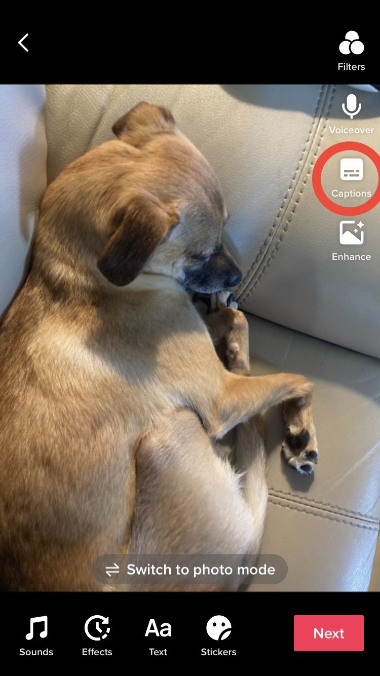 在哪里為視頻添加自動生成的字幕