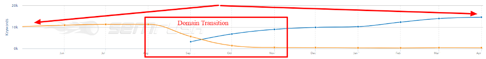 Quando i tag noindex dei meta robot sono stati rimossi, la quantità complessiva di termini di ranking è cresciuta del 50%.