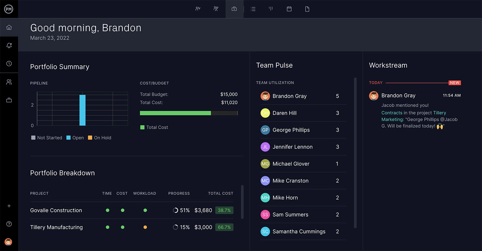 ProjecManager のポートフォリオ管理ページはリーダーに最適です