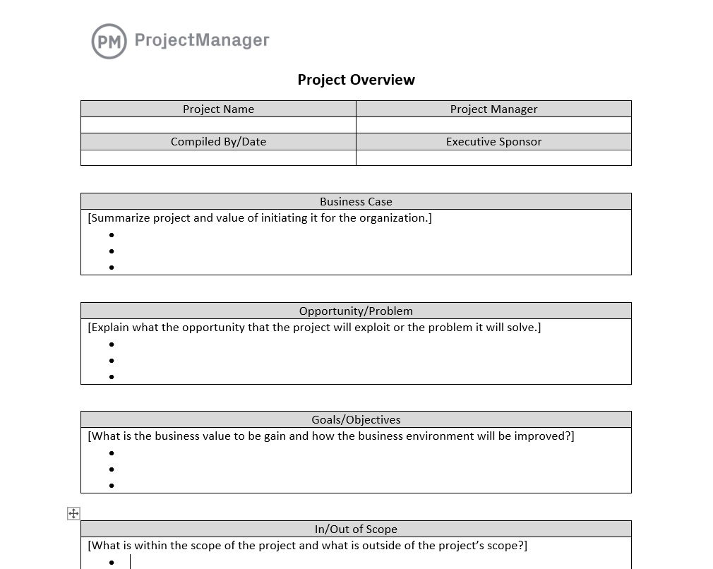 Plantilla de descripción general del proyecto en ProjectManager