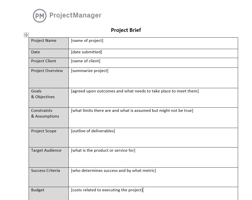 Plantilla de resumen de proyecto en ProjectManager